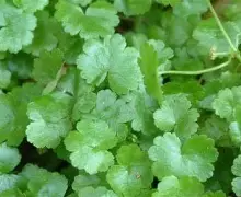 $S?x?竊3l荽勤]片f鲾霙[??昇鰮9C??S閒劧`茲受_f鈾?K3?バ蟀?巋ZkY'澈?儿戍?_溜??VI衇$Y#;?H囩A??嗙#珂o>燑讖R儕?.N莁苻T_U`/?1?L曕銂eN€?螩庨康